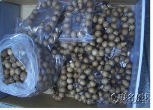 探索工藝美術品批發與零售 藝術與商業的交匯點