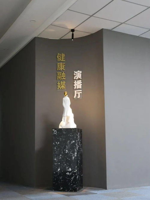 健康融媒演播廳正式上線 唱響健康好聲音，探索工藝美術(shù)品零售新方向